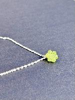 Fio Kadupul Verde Maçã 