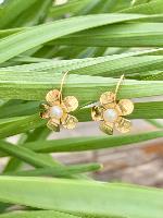 Brincos Perfect Garden